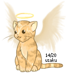 angelcat-tabby14.gif