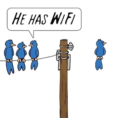 bird wifi.png