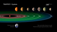 Trappist-1 System.jpg