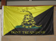 market-anarchist-gadsden-flag.JPG