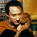 star_trek_data_cat.jpg