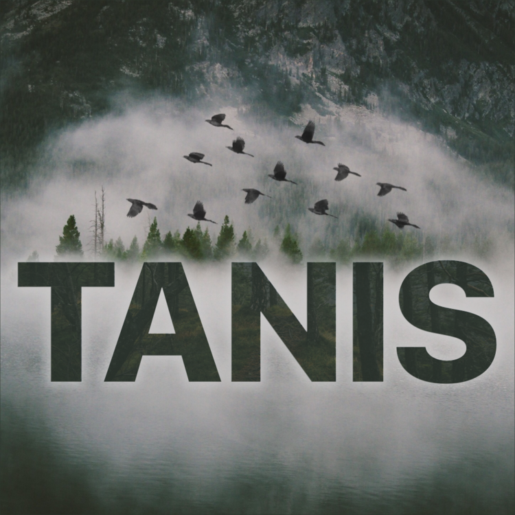 tanis.png