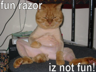 LOLMouser - Fun Razor Not Fun.jpg