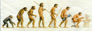 Evolutionary progression-small.png