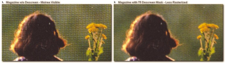 6Magazine Descreen Comparison3.jpg