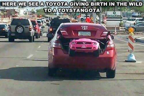 car Toyota Birth.png
