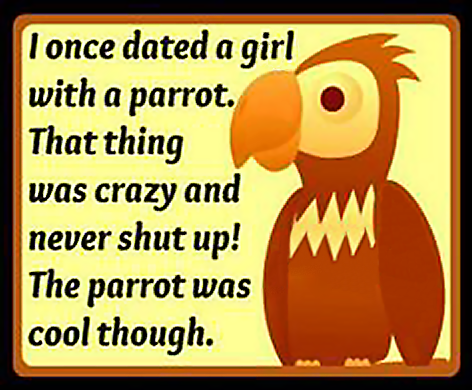 bird cool parrot.png