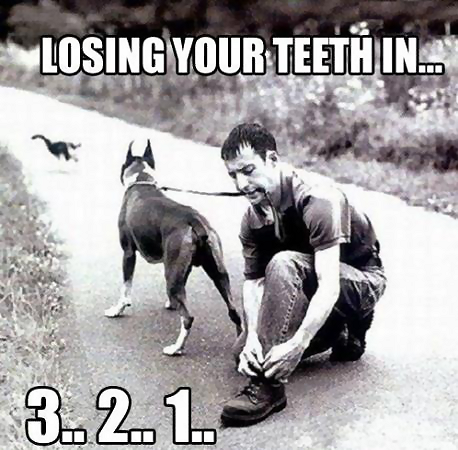 dog Teeth Loss.png