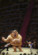 sumo.jpg