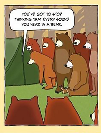 bears camping.png