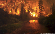 Montana Bitterroot National Forest,  August 6 2000, by John McColgan.jpg