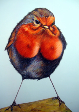 Robin Red Breast.jpg