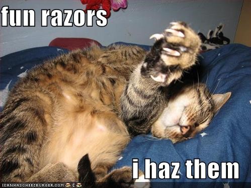 LOLMouser - Fun Razors I Haz Them.jpg