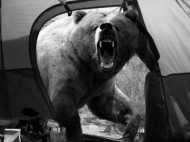 Mauled to death by a bear inside of his tent in 1996. Discovered on his camera, this is the last photo Michio Hoshino would ever take.jpg