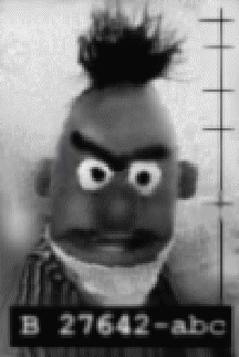 bertmug.gif