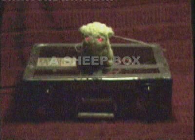 sheepbox.jpg