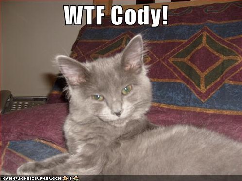 LOLMouser - WTF Cody.jpg