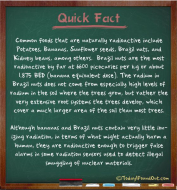 Bananas, Potatoes, Sunflower Seeds, Brazil Nuts, and Kidney Beans are All Naturally Radioactive.jpg