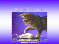 Cat & Mouse 2.jpg