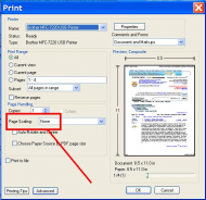 pdf print dialog.JPG