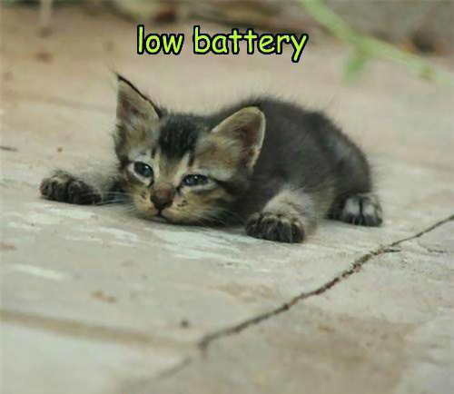 cat Low Battery.png