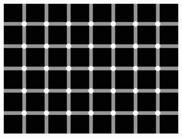 Try to count the black dots.png