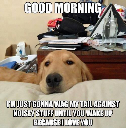 dog Good Morning.png