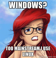 Windows - too mainstream i use linux - Hipster Ariel.jpg