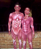 Cool Human Anatomy Costumes.jpg
