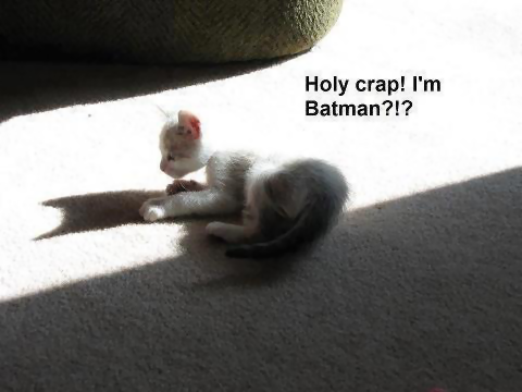 Cat Batman.png