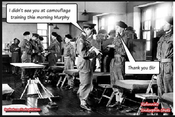 Army camouflage training (joke).jpg