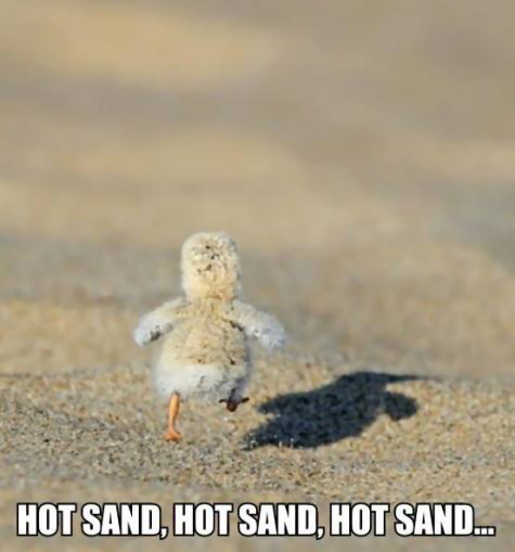 anim Hot Sand.png