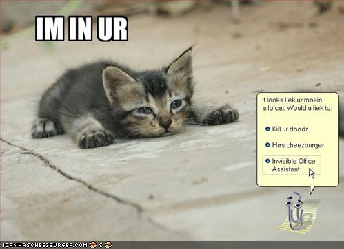 lolcat-office-assistant.jpg