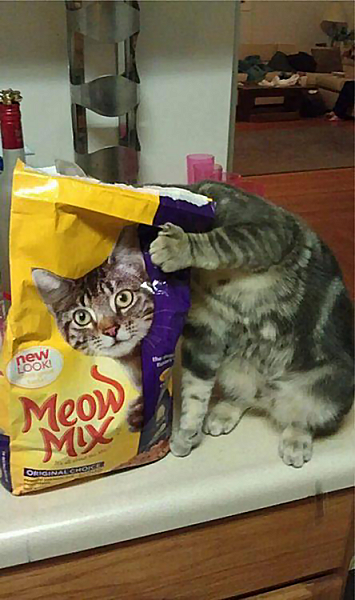Cat Food Bag.png