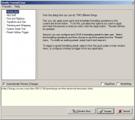 2. Modify Format Case Dialog.png