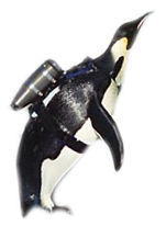 laserpenguin.png