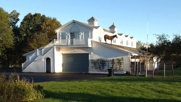 horse on roof.jpg