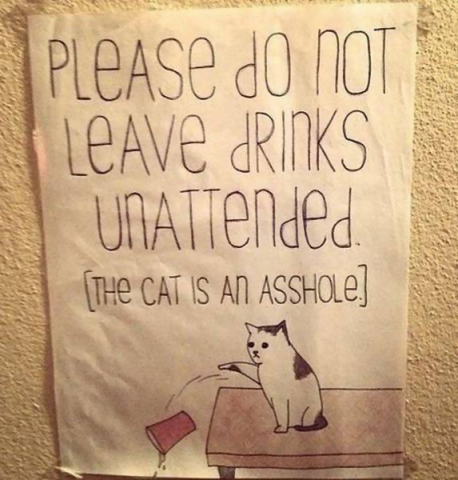 King of the Hill Cat Sign.png