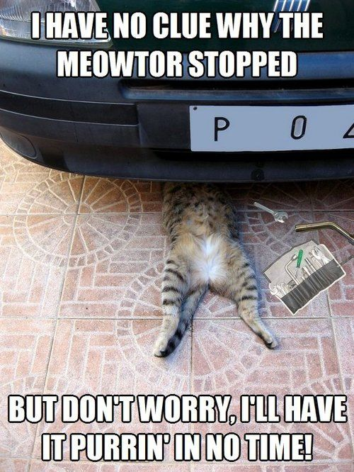 01 cat mechanic.png