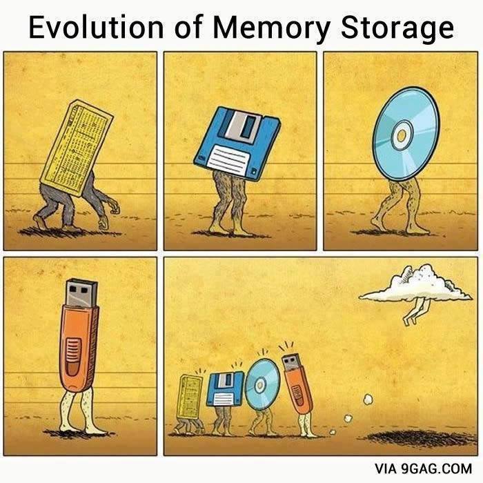 evolution_memory_storage.jpg