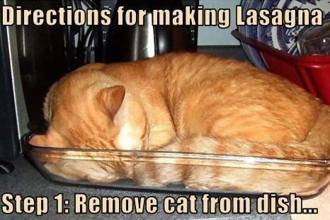 Cat lasagna dish.png