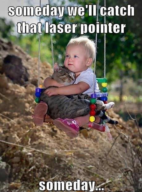 cat Laser Point.png