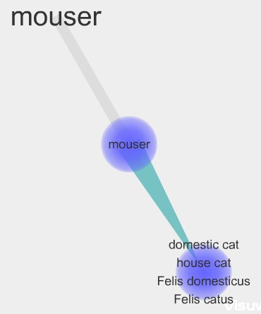 Mouser Visuword.jpg