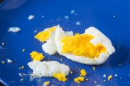 Why Microwaved Eggs Explode.jpg