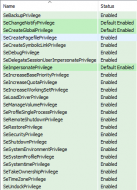 EnabledPrivilege.png