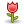 rose.png