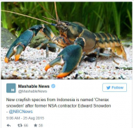 A New Crayfish Species Is Named After Edward Snowden.jpg