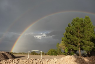 07-30-21 Rain rainbow.jpg