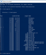 WSL directory list.jpg