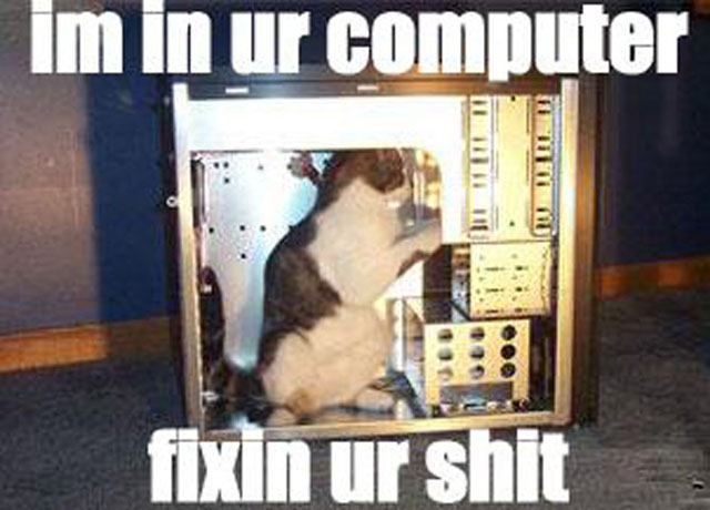 fixitcat.jpg